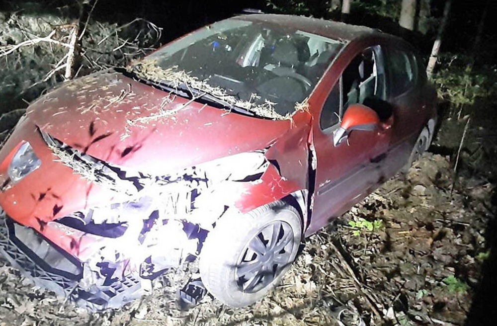 Pijany i bez prawa jazdy uciekał przed policją. Pościg zakończył na drzewie