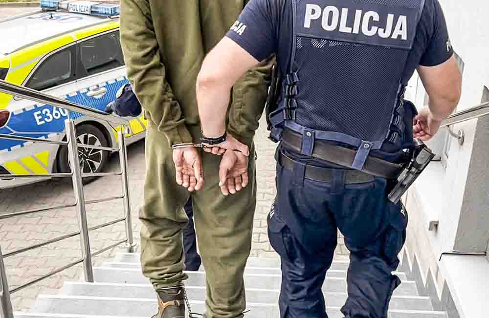 Sulęcin. Wstrząsające. Zatłukł cztery szczeniaki i w reklamówce wrzucił do pojemnika na odzież