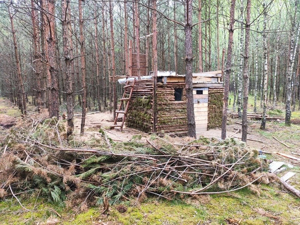 Zielona Góra. Znaleziono nietypowe budowle w lesie, nadleśnictwo interweniuje