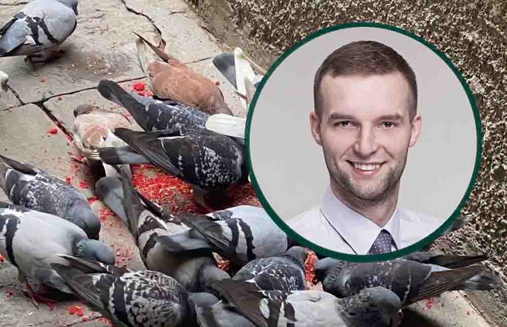 Zielona Góra. Uwaga, fałszywa informacja na profilu Hejted – Zielona Góra