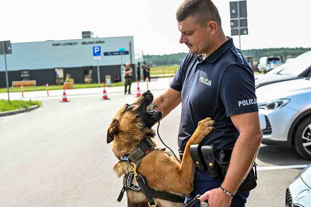 Zielonogórski przewodnik z psem Bono najlepsi w województwie. Brawo!