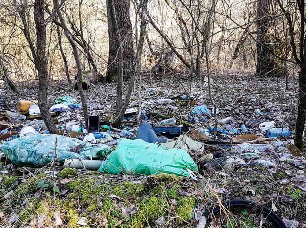 Tutaj możesz zgłosić policji dzikie wysypisko śmieci w lesie