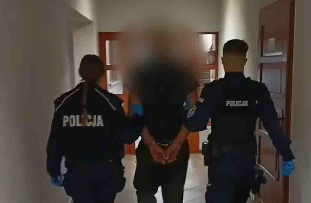 Sulechów. Przyjechali z okolic Nowej Soli kraść drogie drewno opałowe