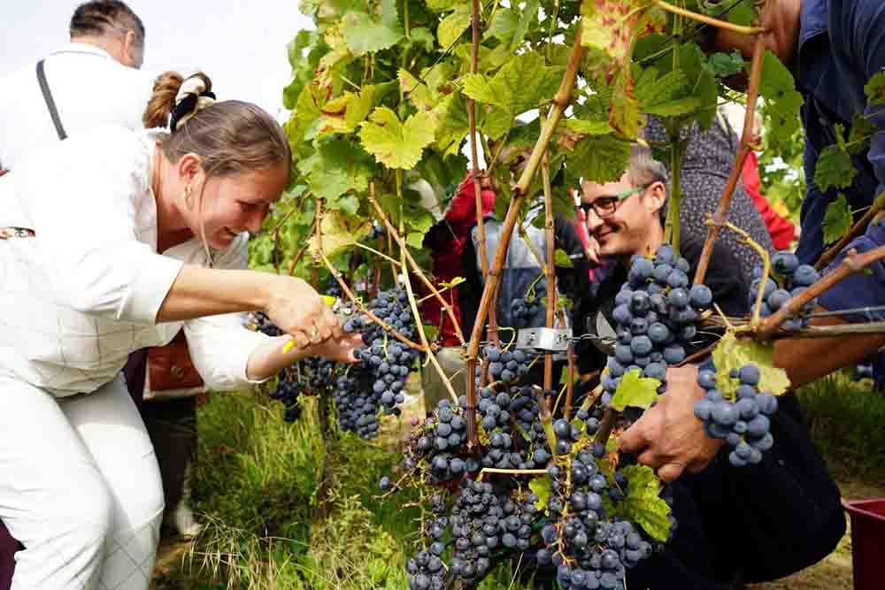 W sobotę Dziesiąte Winobranie w Zaborze. Będzie Bachus i korowód, mamy program
